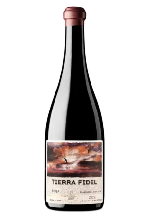 Botella de Tierra Fidel Tinto — Bodega Bodegas Tierra 75 cl