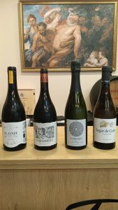 Los cuatro vinos de la cata: El Linze Tinto 2024, Corambres 2024, Cinétique 2023 y Lagar de Costa Albariño 2025